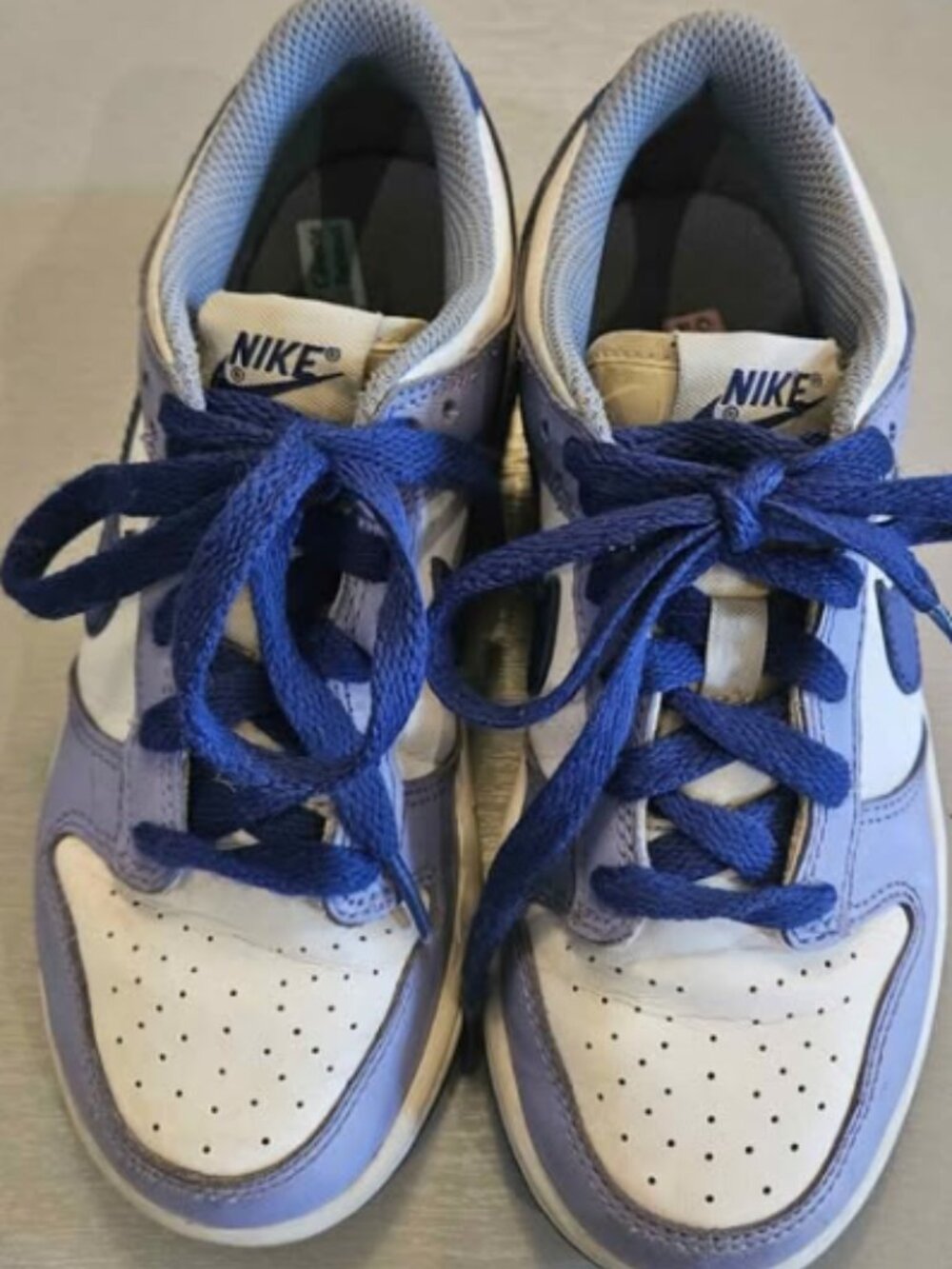 Low Court Nike Dunk KIDS